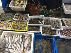 -蛇蟠岛