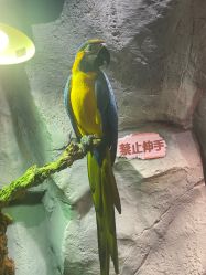 -Zoolung Zoolung动物主题公园(海信广场店)