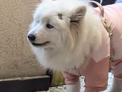 -陈记鱼厨卫城老店