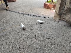 -长鹿旅游休博园