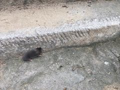 -北京鹫峰国家森林公园