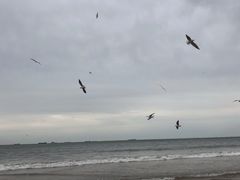 -金梦海湾浴场