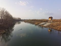 -东郊湿地公园