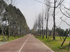 -白鹭湾湿地公园