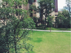 upload_pic-杭州千岛湖滨江希尔顿度假酒店
