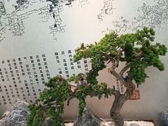 -悦享采耳·洗头头疗·推拿SPA(杭州店)