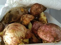 -菌之家·专业纯野生菌火锅·特色炒菌