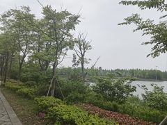 -苏州太湖国家湿地公园