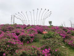 -宜春禅都文化博览园