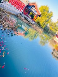 -北京郡王府饭店·宴会厅