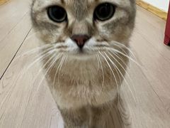 -天福棋牌(田林店)