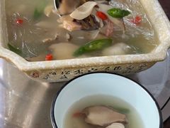 鸡纵菌-菌根香