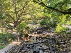 -广州市石门国家森林公园