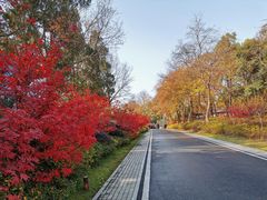 -东湖磨山景区