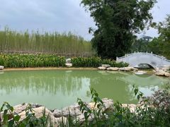-广西壮族自治区药用植物园