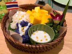 -mango tree芒果树(万象城店)