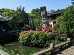 -协和菜馆(凤凰街店)