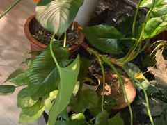 -泰古龙抓龙筋·spa按摩(静安店)