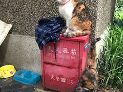 -巴金故居