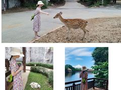 -清迈夜间动物园