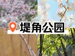 -堤角公园