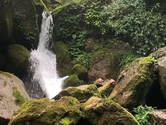 -青城山