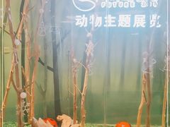 -昆明大悦城未来动物城(螺蛳湾中心店)