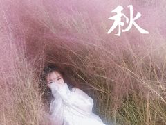 -鹅湖玫瑰文化园