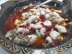 -金三可市井水煮鱼(金碧园店)