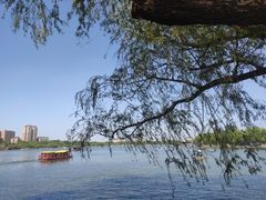 -济南大明湖景区
