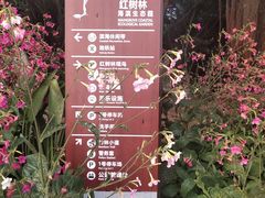 -深圳湾公园(南山区)