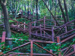 -大岭沟猕猴桃谷风景区