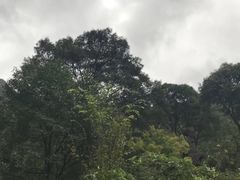 -黄公望隐居地
