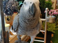 -森野花艺培训·企业团建活动沙龙