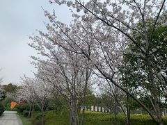 -澹台湖公园