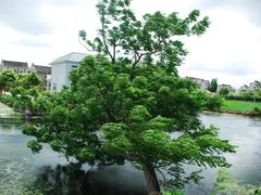 -南汇水蜜桃采摘(大团店)