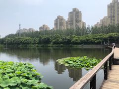 -前关湿地公园