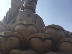 -龙口南山旅游景区