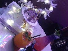 -Darling Queen·Mini·Live·House