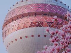 -东方明珠广播电视塔