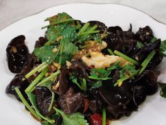 -洞庭家宴·头牌甲鱼(广渠门店)
