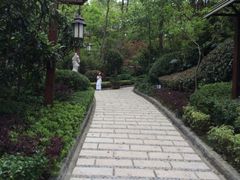 -天目湖涵田半山温泉