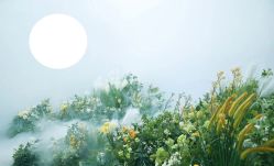 点击看大图 -奈斯影像婚纱摄影(拱墅店)