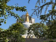 -护国法轮寺