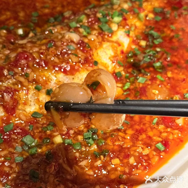 从成都火🔥到南京de有雲，真的超Chill