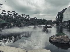 -罗红摄影艺术馆