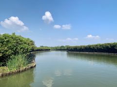 -大湾区中央湿地公园