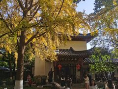 -郑和公园