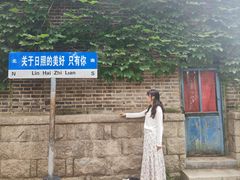 -日照海滨国家森林公园