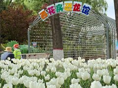 -西宁市人民公园(城西区)